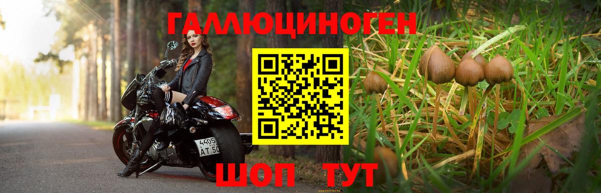 Псилоцибиновые грибы MAGIC MUSHROOMS Чистополь