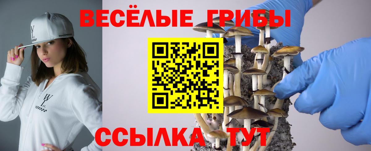 Псилоцибиновые грибы Magic Shrooms  Псилоцибиновые грибы Psilocybe  Чистополь  Вход с VPN 
